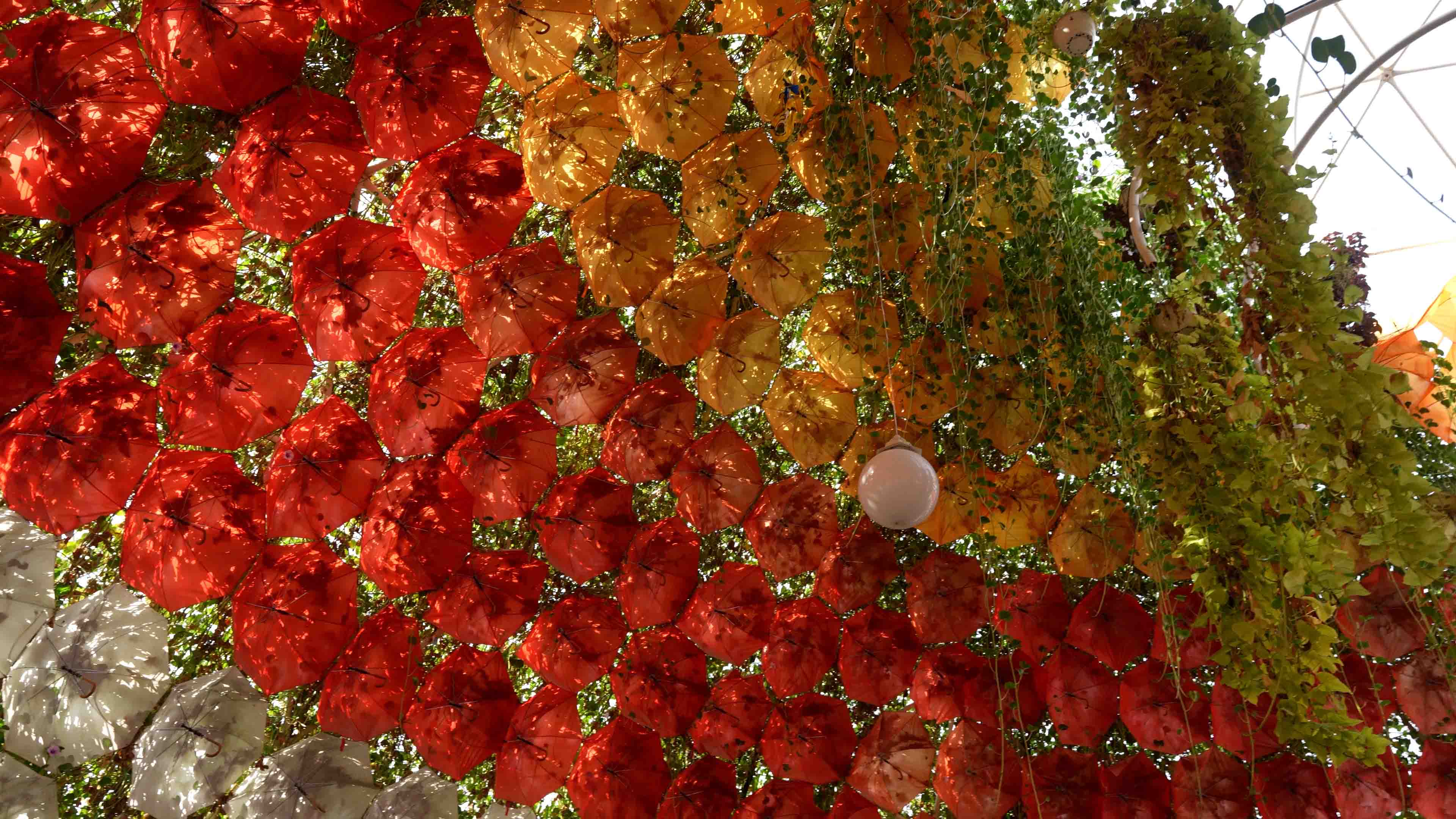 Umbrella Passage view 6